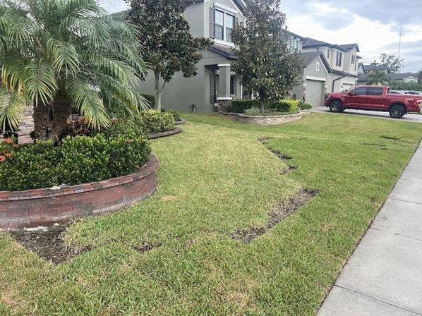 Bay to Bay Landscaping