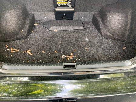 Mobile Moves Auto Detailing