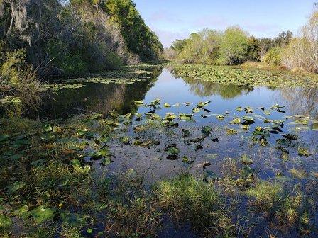 Felts Audubon Preserve & The Manatee County Audubon Society Inc.