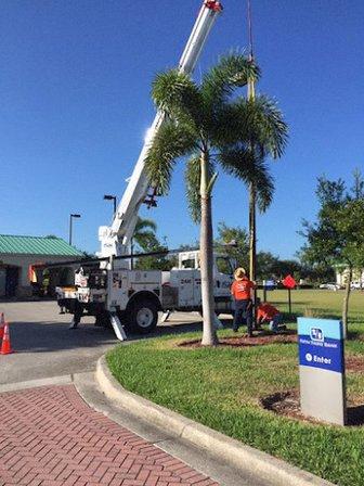FLM-Go, LLC