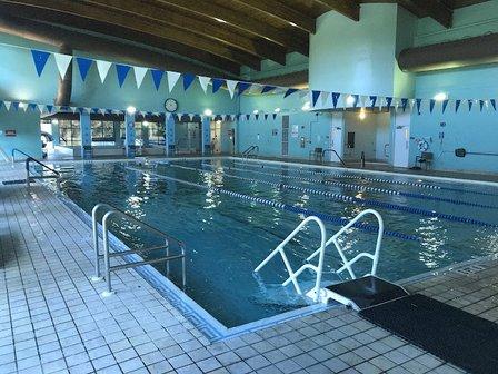 SwimSRQ: swim lessons in sarasota