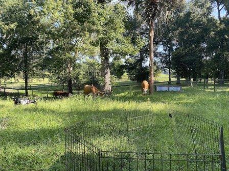 Lazy B Ranch