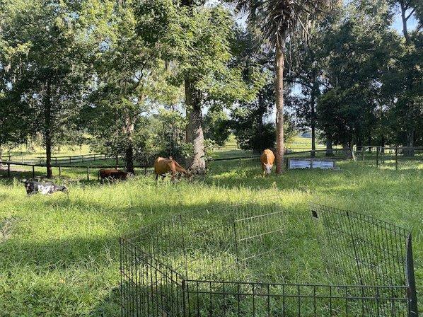 Lazy B Ranch
