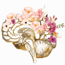 Grow Neuropsychology