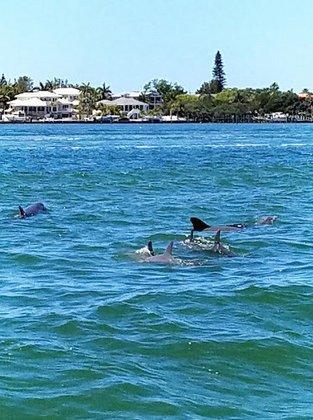Captain Fin's Sightseeing and Boat Tours