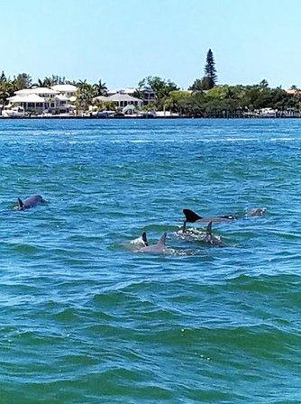 Captain Fin's Sightseeing and Boat Tours