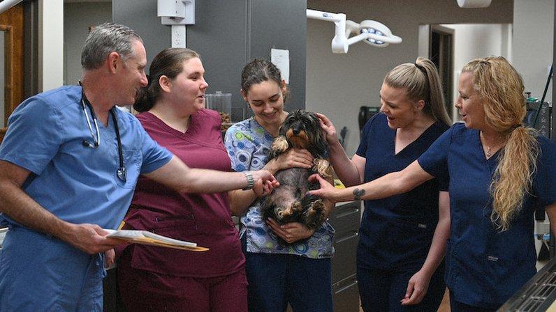 Forest Lakes Animal Clinic