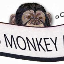 Enlightened Monkey Arts Projection Mapping