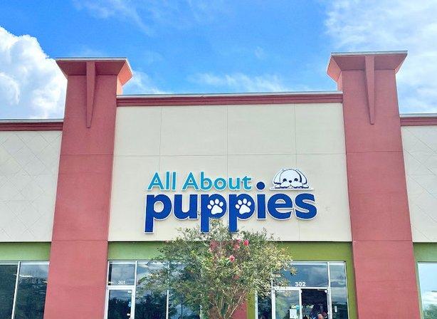 All About Puppies