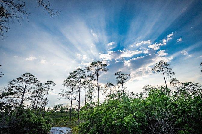 The Nature Conservancy's Tiger Creek Preserve
