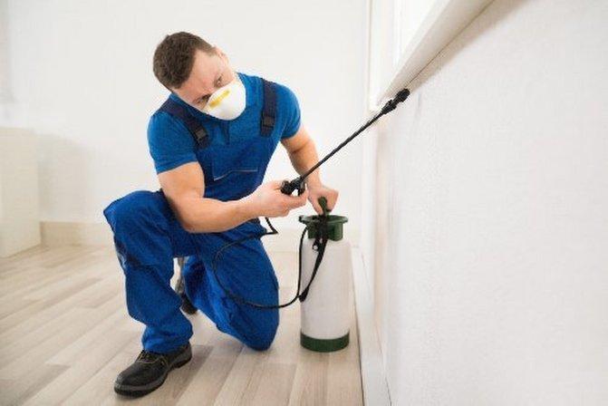 Pest Control Bradenton Bye Bye Bugs