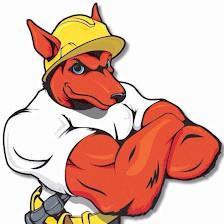 Red Dog's Roofing of Florida
