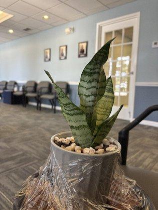 Center for Orthopaedics and Sports Medicine
