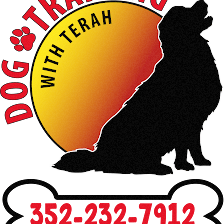 Dog Training with Terah
