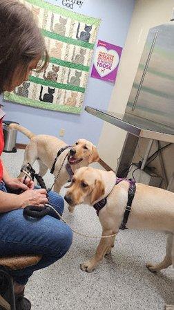TLC Animal Hospital