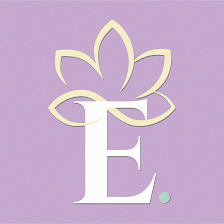 E Silver LLC