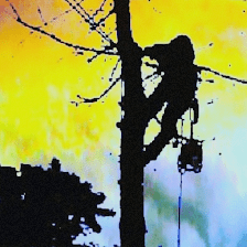 Tree Huggers L.L.C