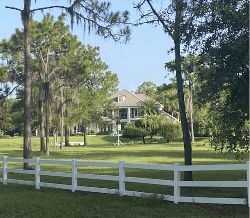 Exit King Realty - Lisea Julien, Florida Gulf Coast Realtor