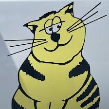 Fat Cat Carpet- Tile and Upholstery Cleaning