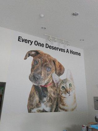 Humane Society Of The Nature Coast