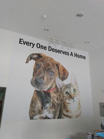 Humane Society Of The Nature Coast