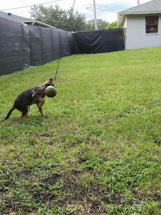 Mind Your Manners Canine Training- Dog Training and Boarding-Family Owned