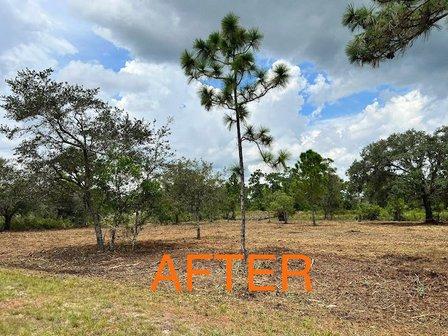 Best Land Services, LLC