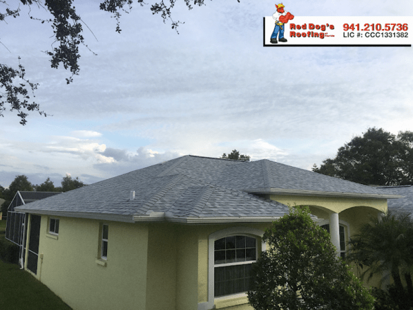 Red Dog's Roofing of Florida