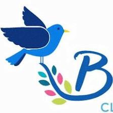 Bluebird Cleaning Company