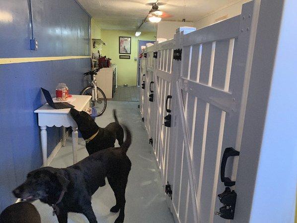 Amazing Tails Dog Boarding & Grooming