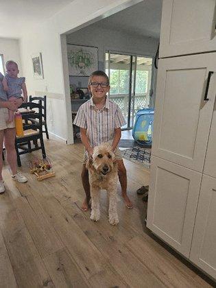 Great Dog Training