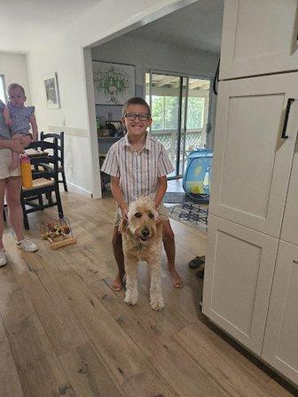 Great Dog Training