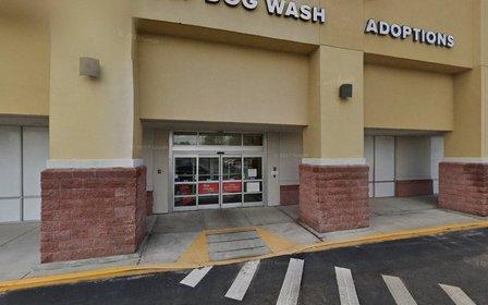PetSmart Dog Training