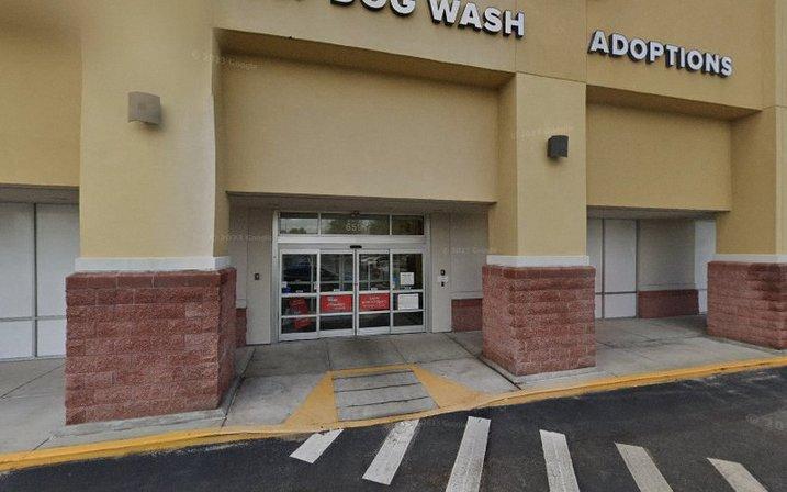 PetSmart Dog Training