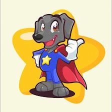 Bark Stars LLC