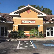 Gulf Coast Scratching Post Cat Hospital