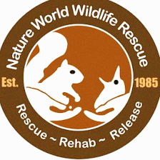 Nature World Wildlife Rescue