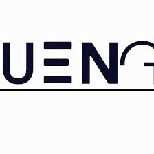 The Bauen Group, Inc.