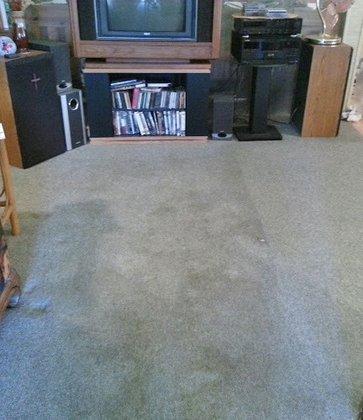 A Action VanCola Professional Carpet Upholstery and Disaster Cleaning