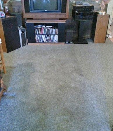 A Action VanCola Professional Carpet Upholstery and Disaster Cleaning