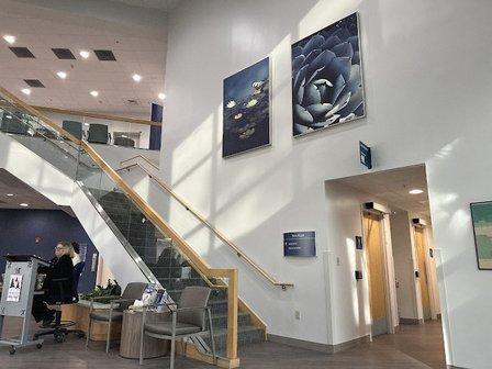 BayCare Laboratories (Trinity)