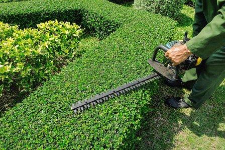Mr. G Lawn Maintenance