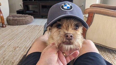 K9 Coach NC