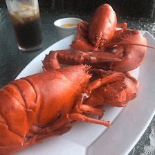 Twin Lobsters