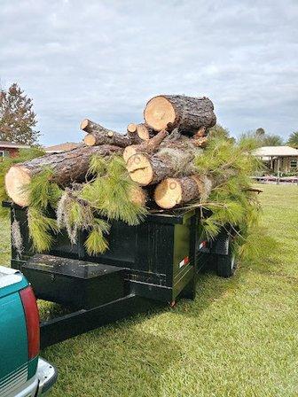 Down To Earth Tree Service, LLC
