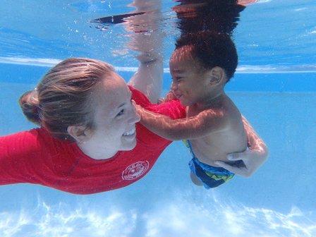 Seal Swim School North Pinellas