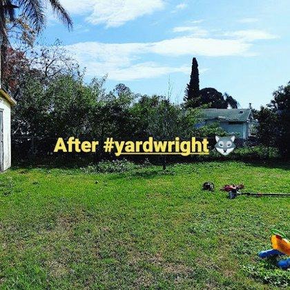 Yard Wright Lawn and Landscaping