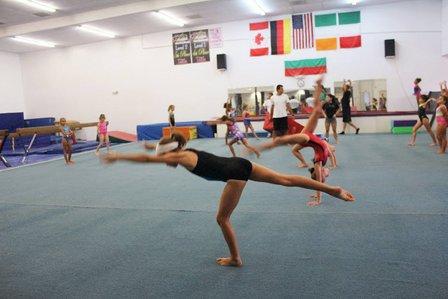 Sarasota Gymnastics Academy