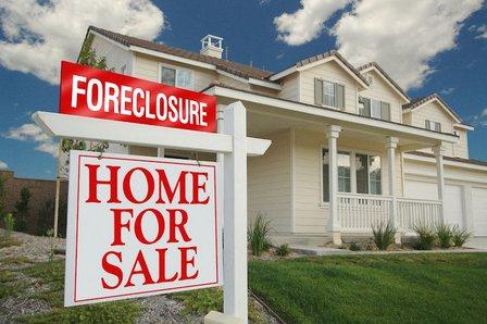 David Westphal - Your Florida Home Guide - powered by REAL Broker LLC