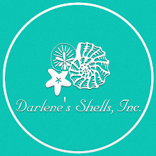 Darlene's Shells Inc